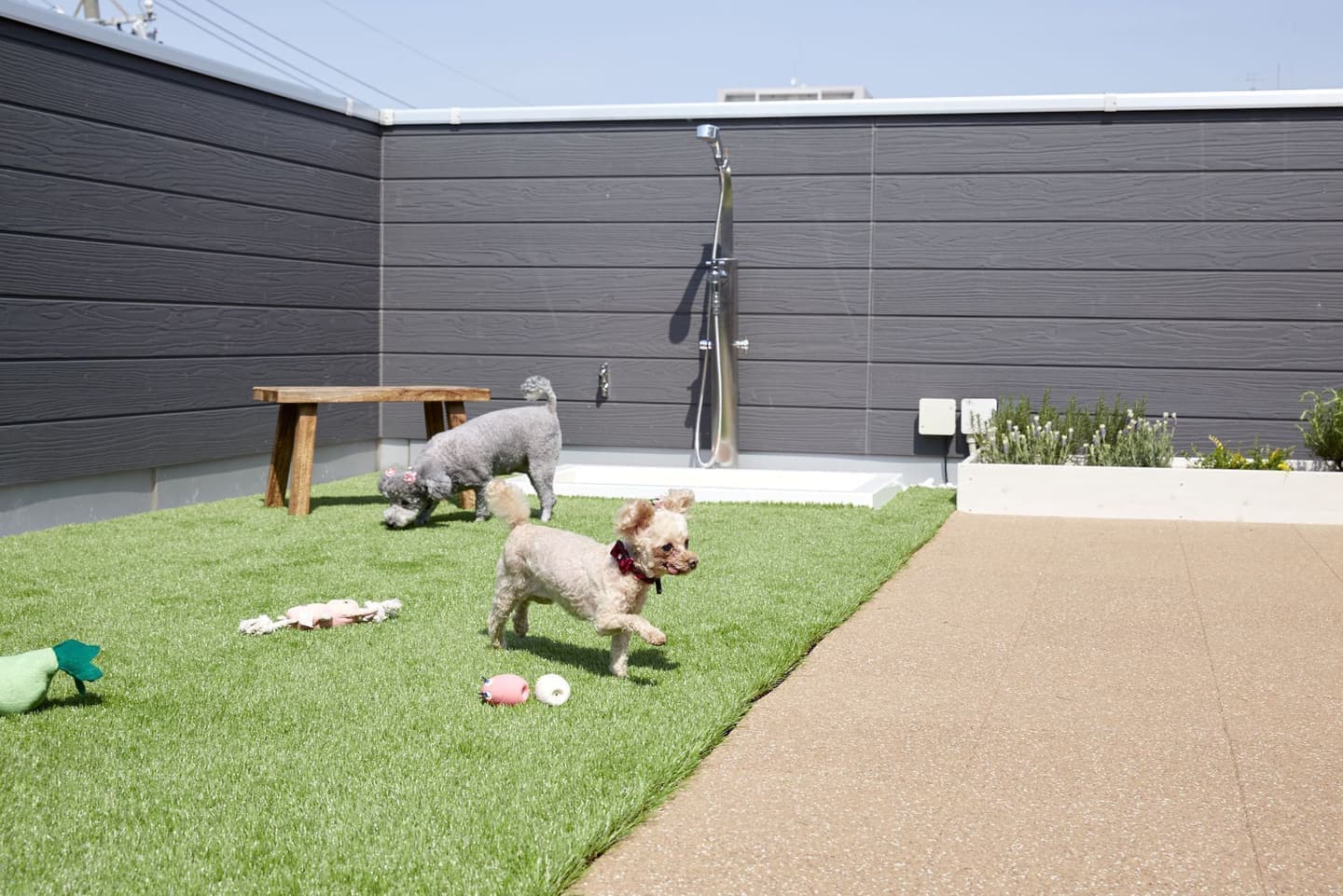 屋上ドッグラン